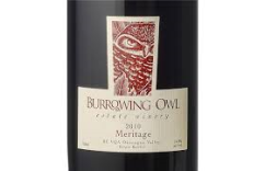 Burrowing owl Meritage